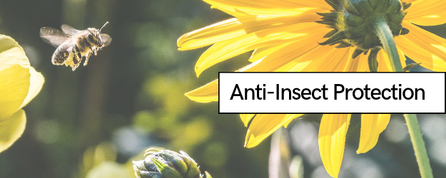 Anti-Insect Protection